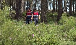 Bodrum’da ormanlara giriş yasaklandı, jandarma termal dronla kuş uçurtmuyor