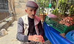 Bu bitki doğal şifa kaynağı