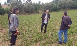 Büyükşehir’den dolu afetine karşı hızlı müdahale