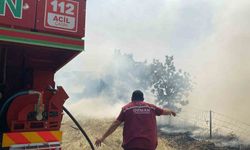 Çanakkale’deki orman yangını kontrol altına alındı
