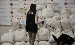Edirne Kapıkule’de X-ray taraması yapılan otobüste 233 kilo esrar ele geçirildi