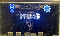 Edirne’de uyuşturucu operasyonu: Tırda 13 kilo skunk ele geçirildi