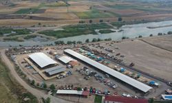 Erbaa hayvan pazarı yeniden kapatıldı