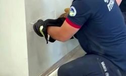 Fabrika duvarına sıkışan yavru kedinin imdadına itfaiye yetişti