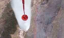 Foça’daki ziraat arazisinde yangın çıktı