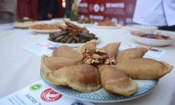 Gastronomi şehri Hatay’da damak çatlatan 10 lezzet tescillendi