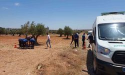 Gaziantep’te bir genç zeytin tarlasında ölü bulundu