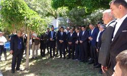 Gercüş doğalgaza kavuşuyor