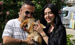 Güzellik yarışmasında birinci seçilip kaybolan köpek bulundu, sahipleri sevince boğuldu