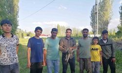 Iğdır’da yardıma muhtaç halde bulunan tilki doğal yaşamına kavuşturuldu