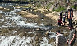 İnci kefalinin göçü yerli ve yabancı turistlerin ilgi odağı oldu