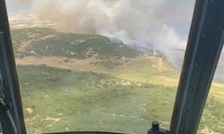 İzmir Foça’da tarım arazisinde başlayan yangın ormana sıçradı