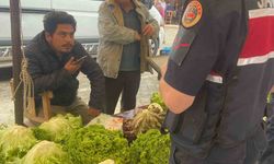 Jandarmadan pazarda hırsızlık ve sahte para denetimi