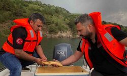 Kars’ta sazan balıklarının üreme dönemleri araştırılıyor