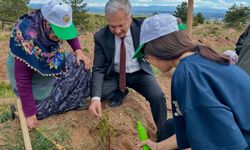 Kastamonu’da huzurevi sakinleri ile sevgi evinde kalan çocuklar fidan dikti