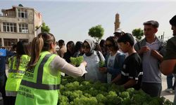 Mardin’de vatandaşlara 60 bin fesleğen dağıtıldı