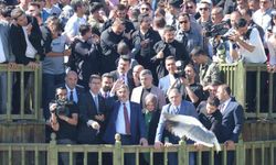 Milli Eğitim Bakanı Tekin, inci kefali göçünü izledi