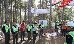 Muğla Orman Bölge Müdürlüğü’nde silvikültür tatbikatları tamamlandı