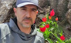 Muş 1071 Lalesi Sason dağlarını kırmızıya bürüdü