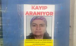 Nuriye Parkmaksız 6 aydır bulunamadı
