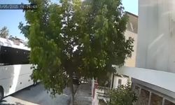Otobüs şoförü sokak köpeğini ezdi