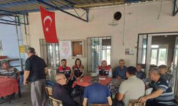 Pamuk ve zeytindeki zararlılarla mücadele yöntemi anlatıldı