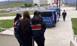 Sahte araç kiralama siteleriyle 160 milyon TL vurgun yapan çeteye 5 ilde operasyon: 19 gözaltı