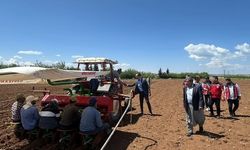 Samsat’ta tütün ekimi başladı