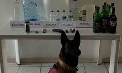 Samsun’da 65 litre etil alkol ele geçirildi
