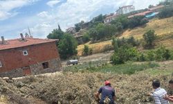 Sındırgı’da koyun damı çöktü, 2 koyun telef oldu
