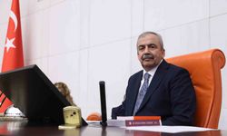 Sırrı Süreyya Önder hayatını kaybetti