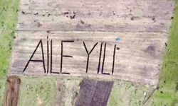 Tarlasına traktörüyle "Aile Yılı" yazdı