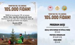 TBMM’nin 105.yılı anısına Erzurum’da 105 bin fidan toprakla buluşacak