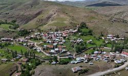Türk ve Japon bilim adamları Sivas ve çevresinde ölümcül kenelerle ilgili bilimsel saha çalışması başlattı