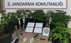 Uzaktan kontrolle metruk binada uyuşturucu yetiştirdi