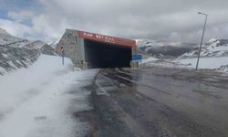 Van’da dağların zirvesinde kar, ovalarında çiçek
