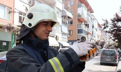 Yalova’da çatıdan düşen yavru martıyı itfaiye kurtardı