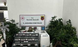 Yalova’da evinde uyuşturucu yetiştiren şüpheli tutuklandı
