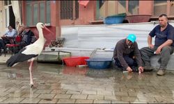 Yaren’in rakibi Bilal Leylek baba oldu