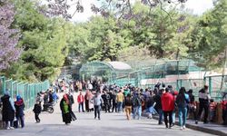 Yırtıcı Adası ile Gaziantep Doğal Yaşam Parkı’nın ziyaretçi sayısı artırılacak