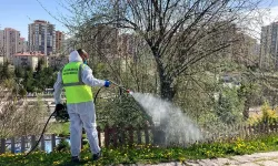 Kayseri Talas'tan haşereyle kesintisiz mücadele