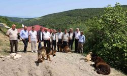 15 mahalle muhtarından izinsiz oluşturulan köpek barınağına sert tepki