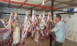 300 yetim ve ihtiyaç sahibi aileye 44 hayvan eti ulaştırıldı