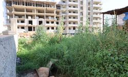 Adana’da çevre skandalı: Boru döşeyip lagımı Kilgen Çayı’na bırakmışlar
