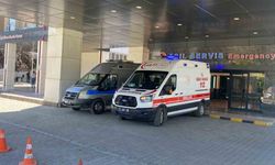 Ahırda süt sağan kadını kene ısırdı