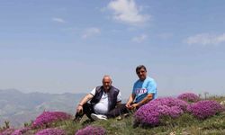 Akdağ’ın zirvesinde fuşya renkli görsel şölen
