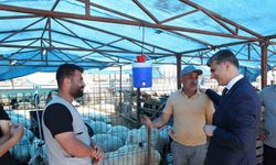 Akdeniz’de kurban satış yerleri hazır