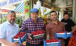 Amasya’da 60 yıldır yarışması yapılıyordu, şimdi bir tane bile kiraz yok