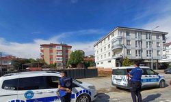 Ankara’da kaçan dana yaşlı kadını yaraladı