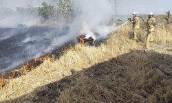 Antakya’da saman balyaları yandı